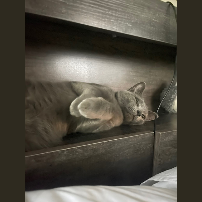 Photo of Paulie