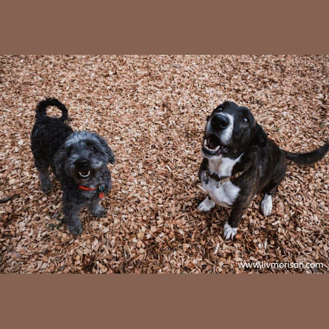 Photo of Oscar And Annika Newhaven