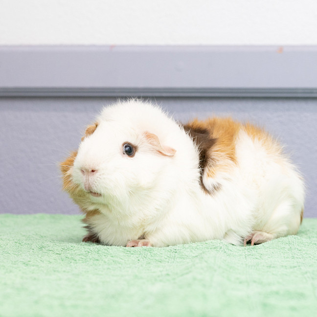 Photo of Alan