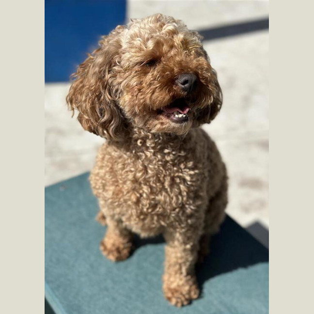 Photo of Billy