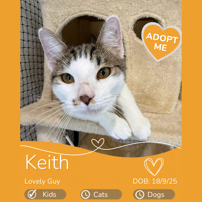 Photo of Keith
