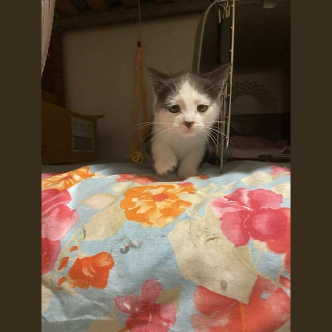 Photo of Hazel