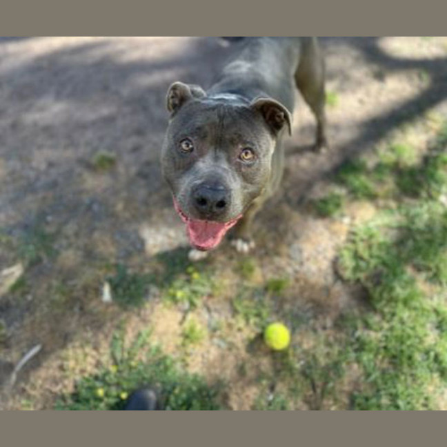 Photo of Zeke