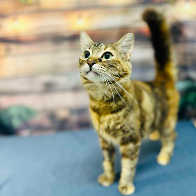 Photo of Celeste   Located In Preston 