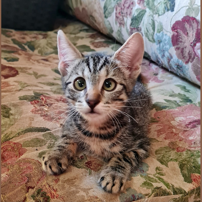 Photo of Reggie