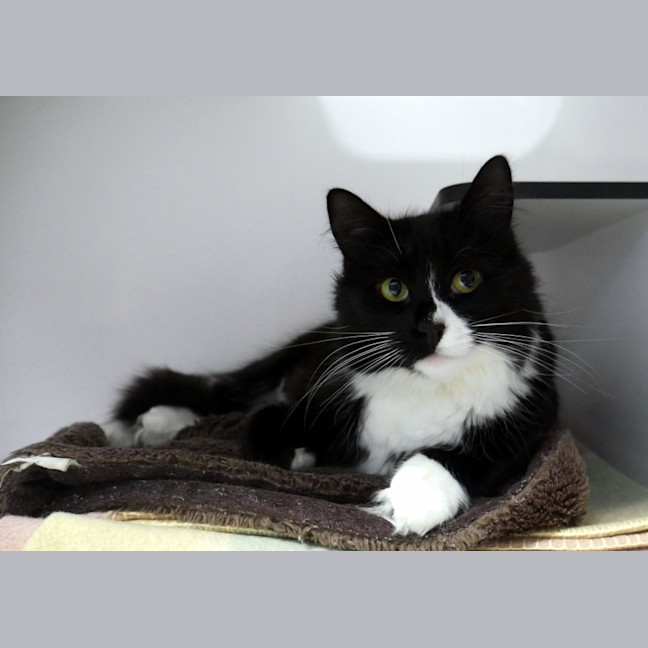 Photo of Luna Rsua011173