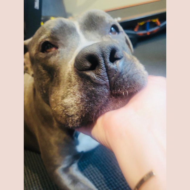 Photo of Ace