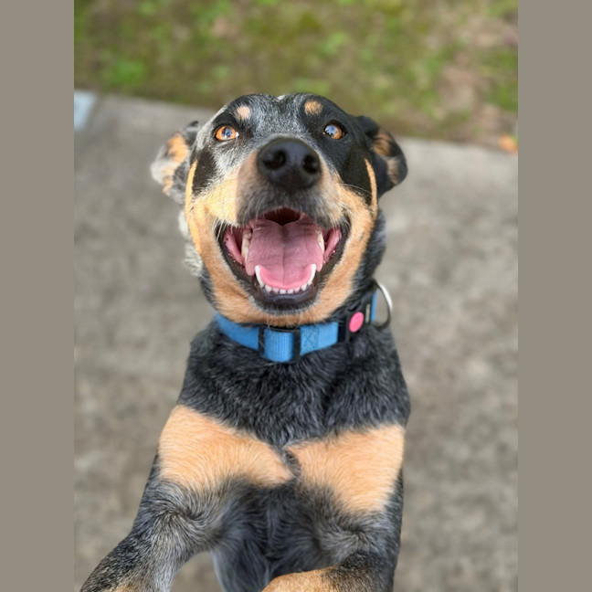 Photo of Kash