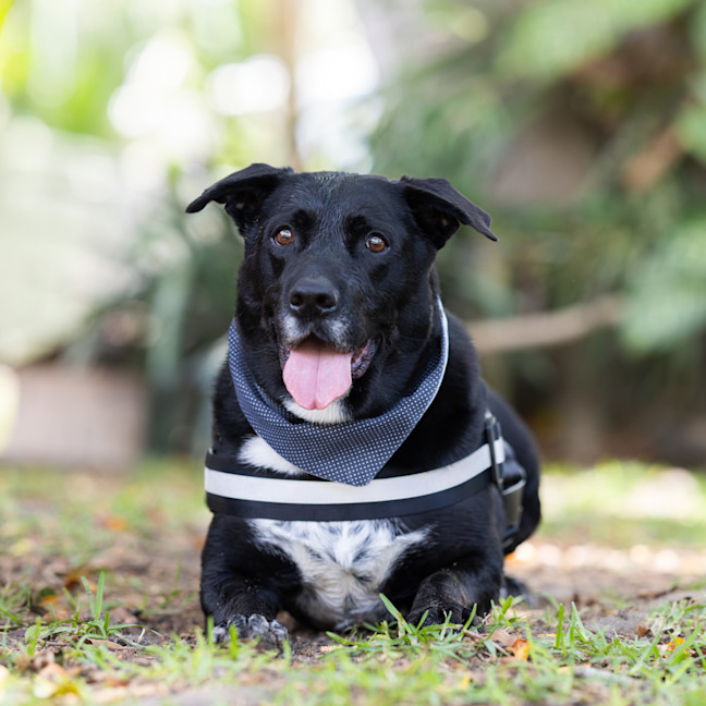 Photo of Axel