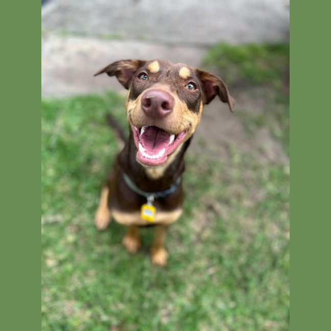 Photo of Spike