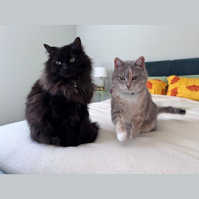 Photo of Sootie Uffelman