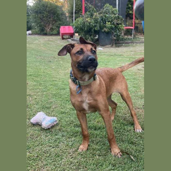 Photo of Lucy