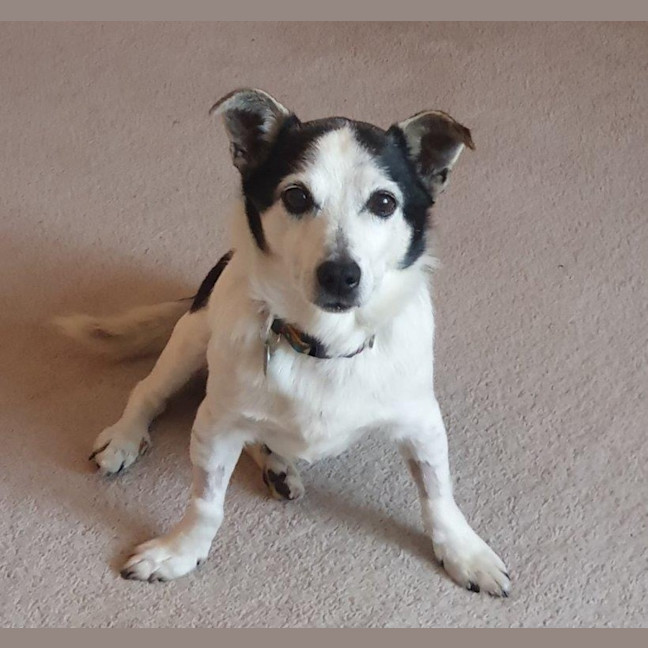 Photo of Laurie Jablonski