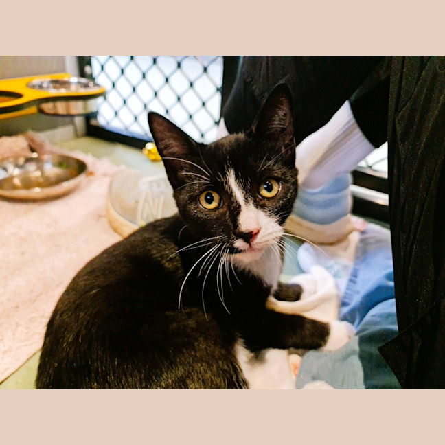 Photo of Tobie