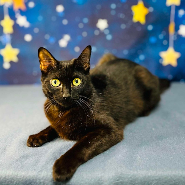 Photo of Mystica   Located In Preston 