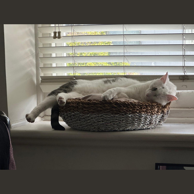Photo of Anya