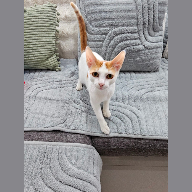 Photo of Sam