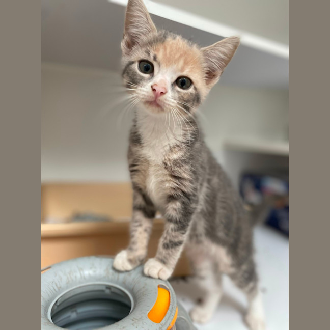 Photo of Geneva (9958)