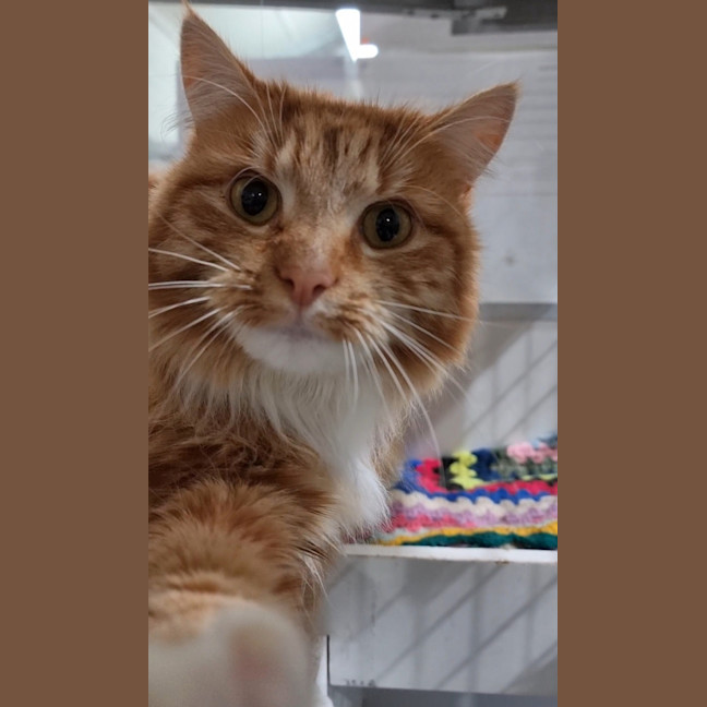 Photo of Captain