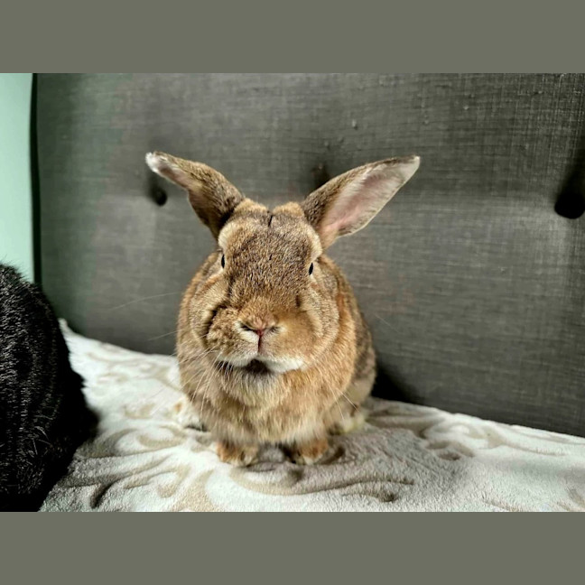 Photo of Strawberry And Popcorn 