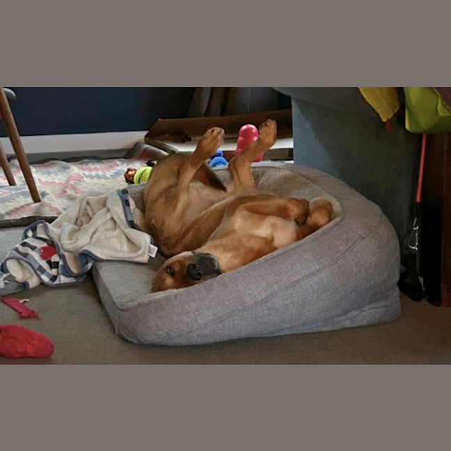 Photo of Clifford