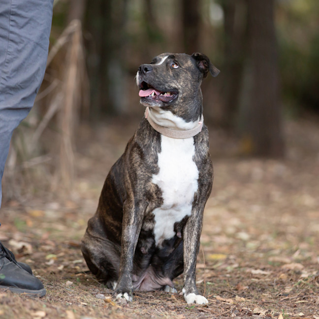 Photo of Coco