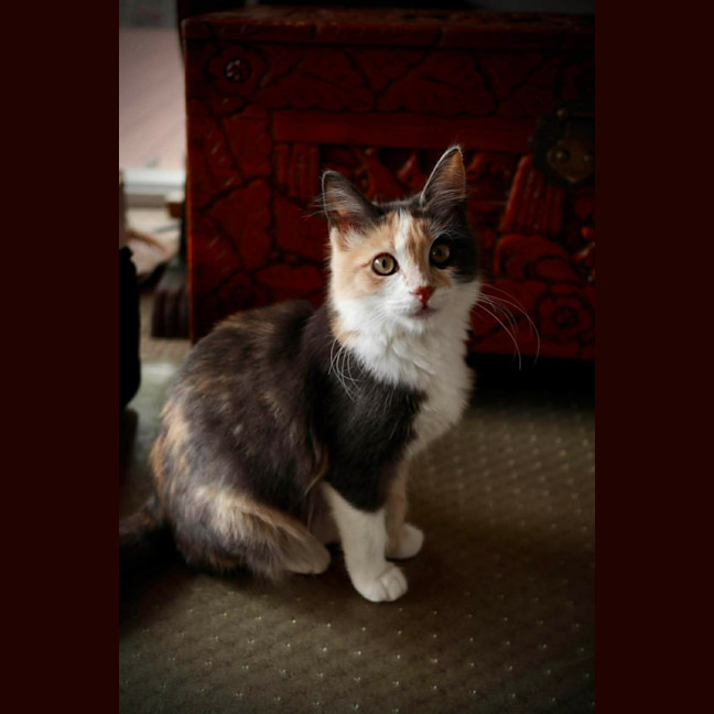 Photo of Mary 
