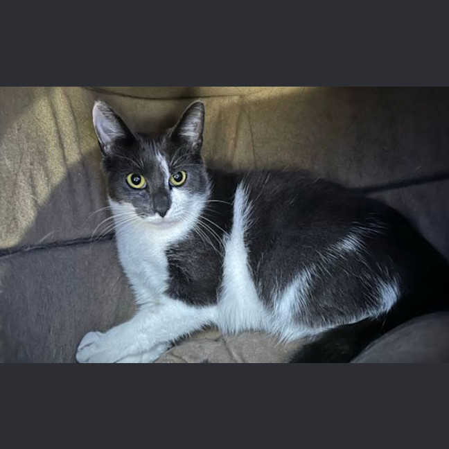 Photo of Bellara