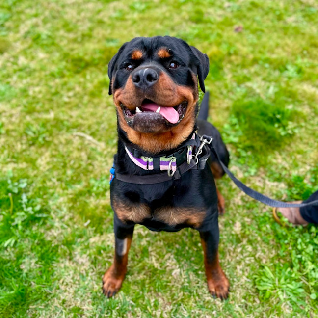 Photo of Zeus
