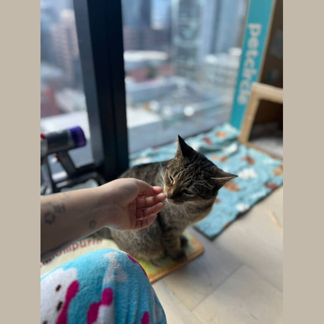 Photo of Cleo