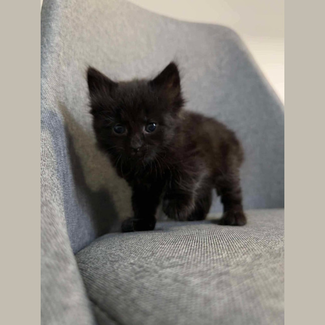 Photo of Spud & Squid