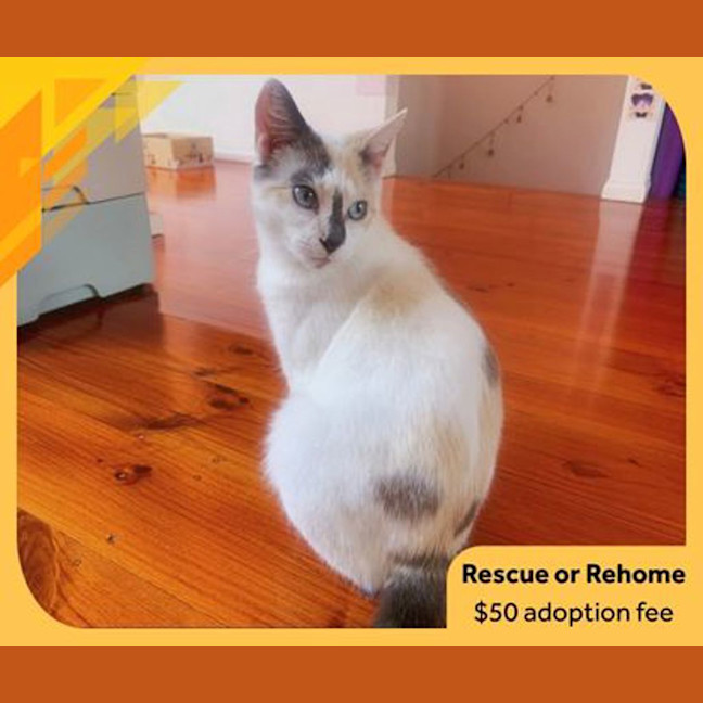 Photo of Tabitha