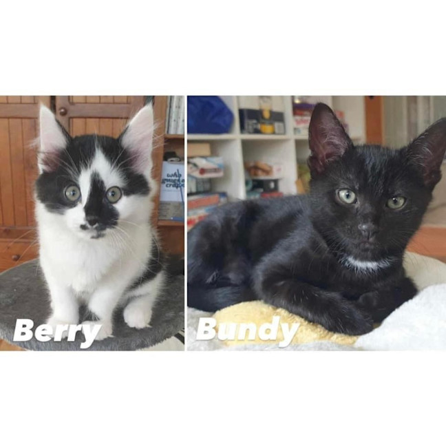 Photo of 10939/41   Berry & Bundy