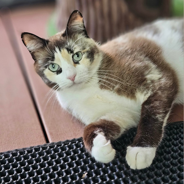 Photo of Miss Marbles