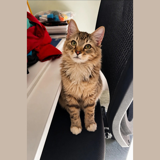 Photo of Fred
