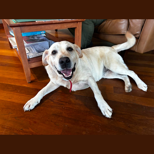 Photo of Maeve