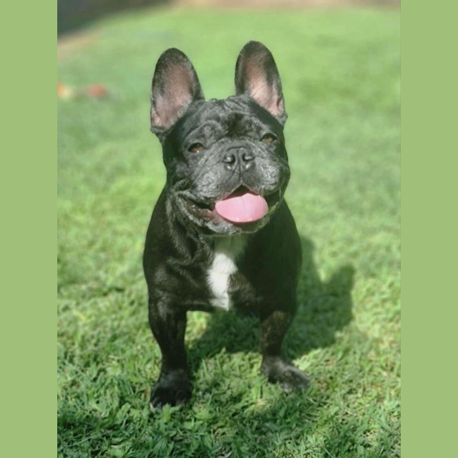 Photo of Darby & Remy