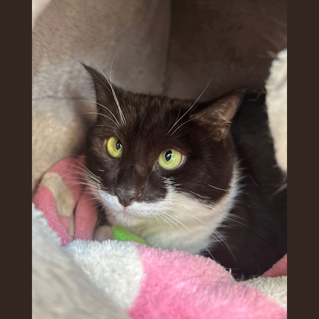 Photo of Maggie