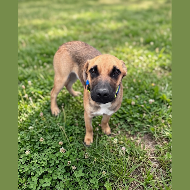 Photo of Kaiser