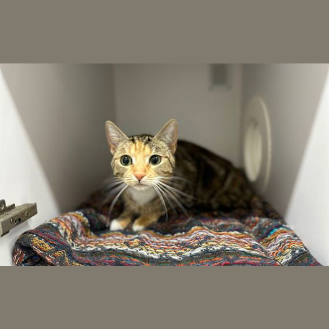 Photo of Bertha