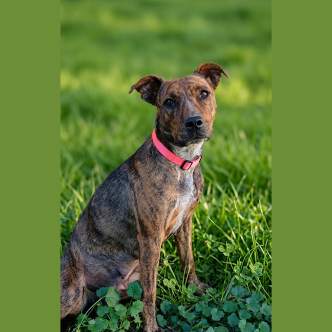 Photo of Marsha 