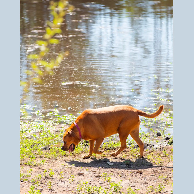 Photo of Freyha