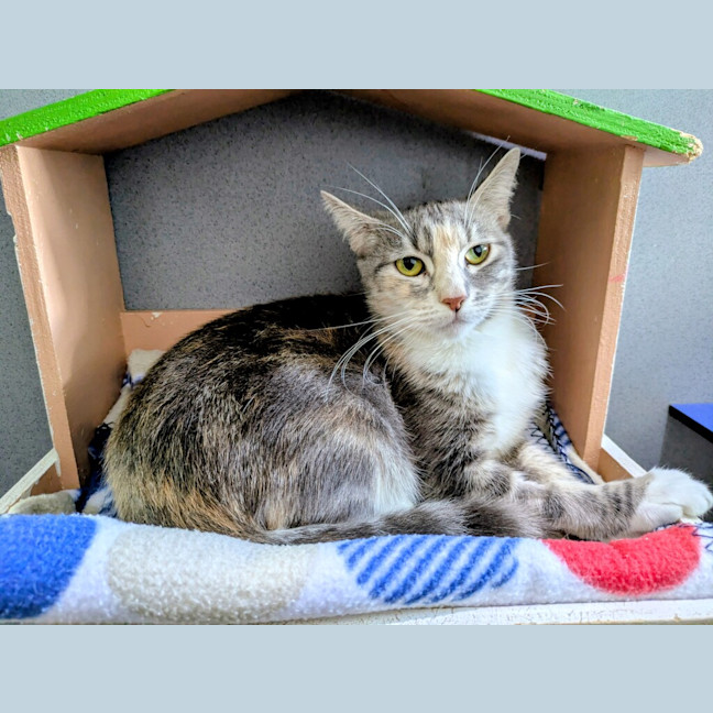 Photo of Molly