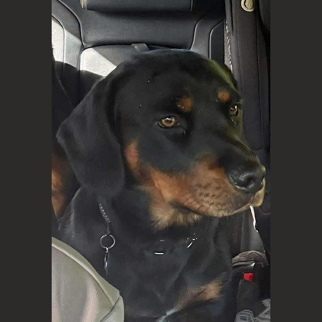 Photo of Zeus