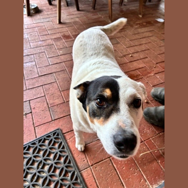 Photo of Patch