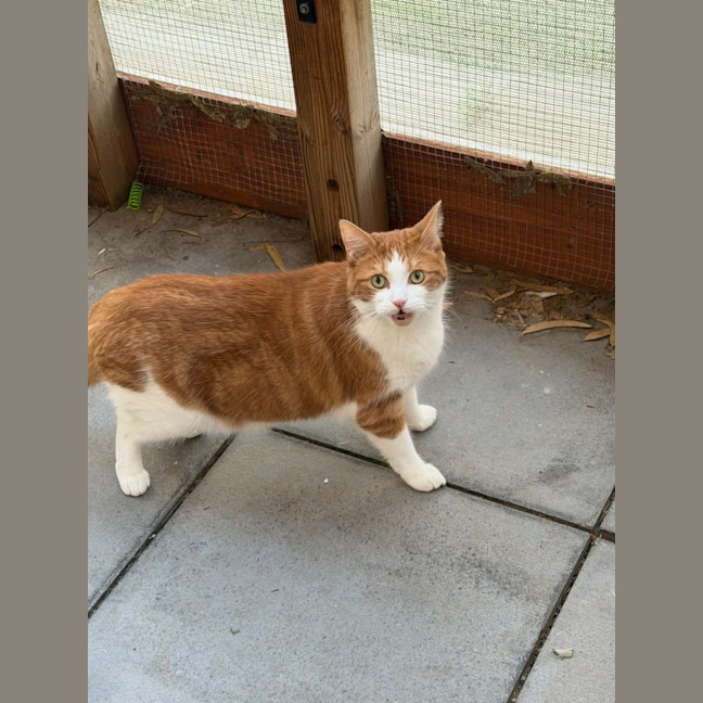 Photo of Toasty
