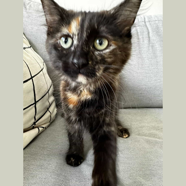 Photo of Nutmeg & Cinnamon