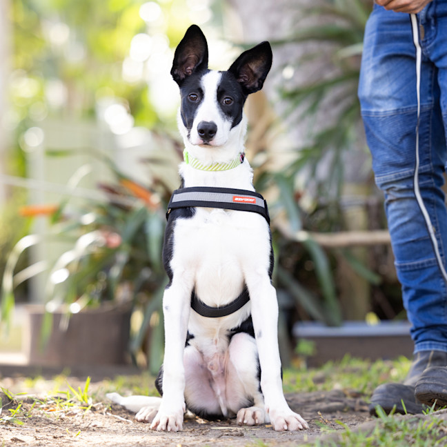 Photo of Hugo