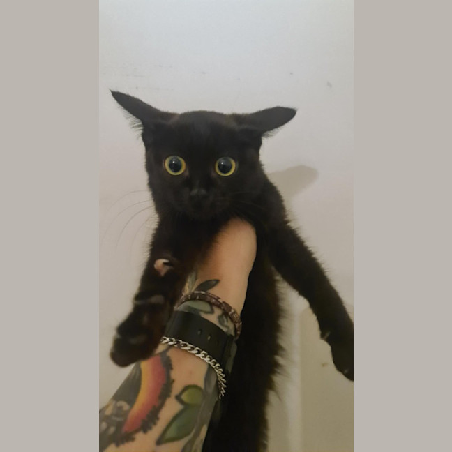 Photo of Nadia