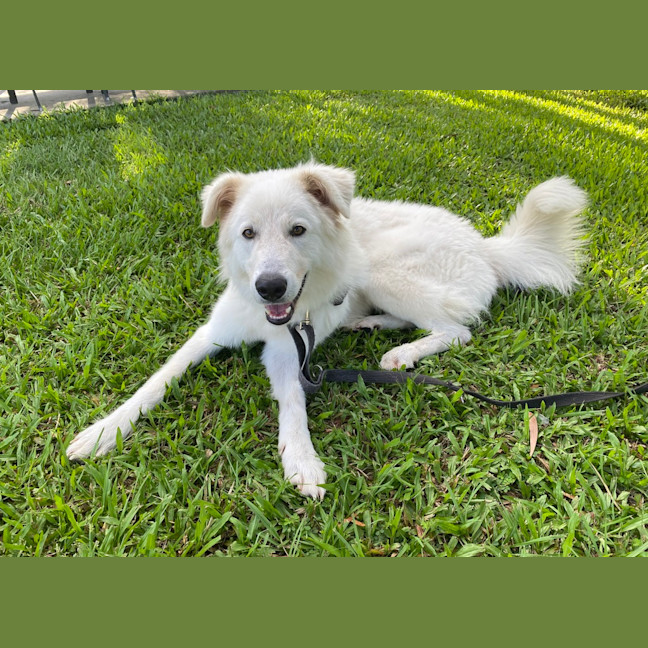 Photo of Ghost